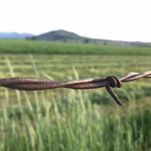 Meet your Posher, Hailey